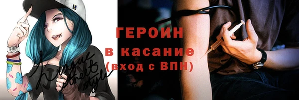 индика Абаза