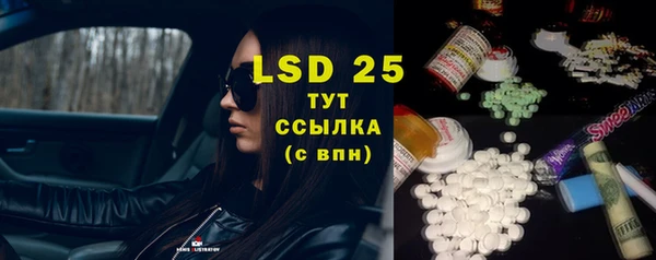 индика Абаза