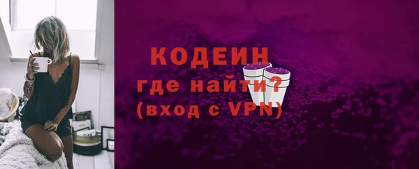 индика Абаза
