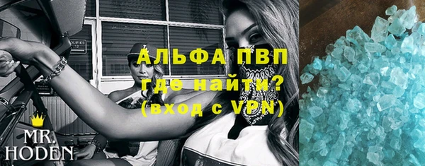 индика Абаза