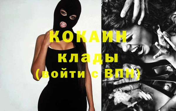 индика Абаза