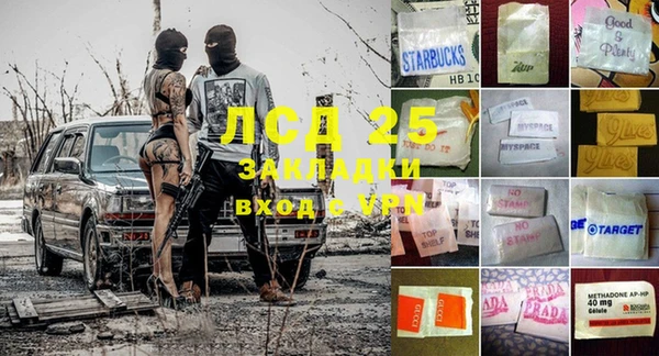 индика Абаза
