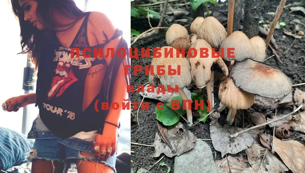 прущая мука Абинск