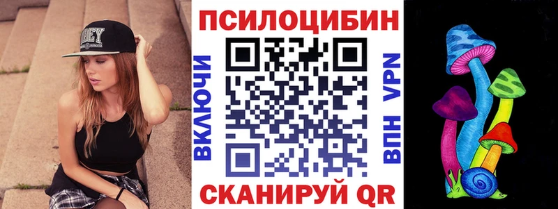 кракен   как найти закладки  Луга  Псилоцибиновые грибы Psilocybe 
