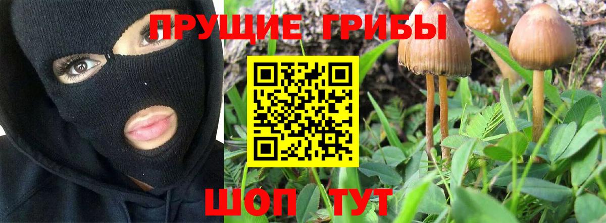 Галлюциногенные грибы Magic Shrooms  Галлюциногенные грибы прущие грибы  Вход с VPN  цена   Луга 