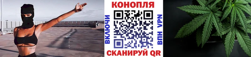 Конопля OG Kush  где купить наркотик  Луга 